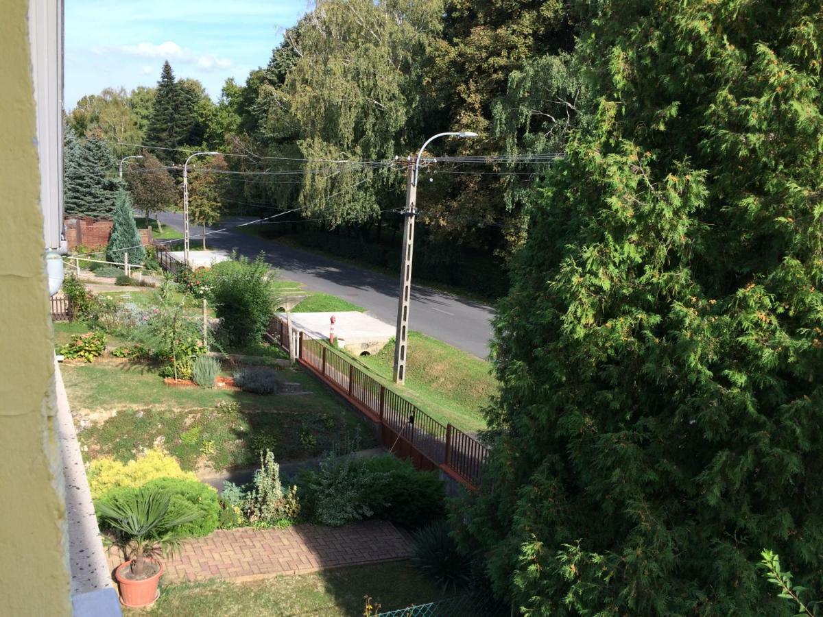 Jazmin Apartman Zalakaros Buitenkant foto
